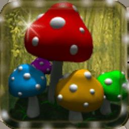 蘑菇精品视频国产,蘑菇精品视频，引领国产短视频新潮流