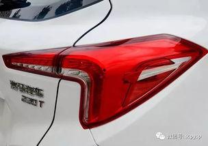 7l7精品国产视频